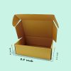 Ready Made Corrugated Carton Box (CBM-853B)