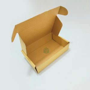 Corrugated Packaging Box